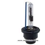 D2R Xenon lamp HID